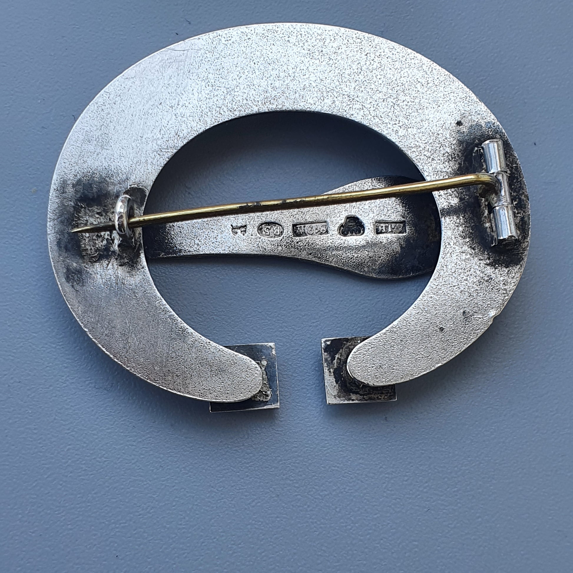 Silver horseshoe-shaped brooch with a pin across its opening.