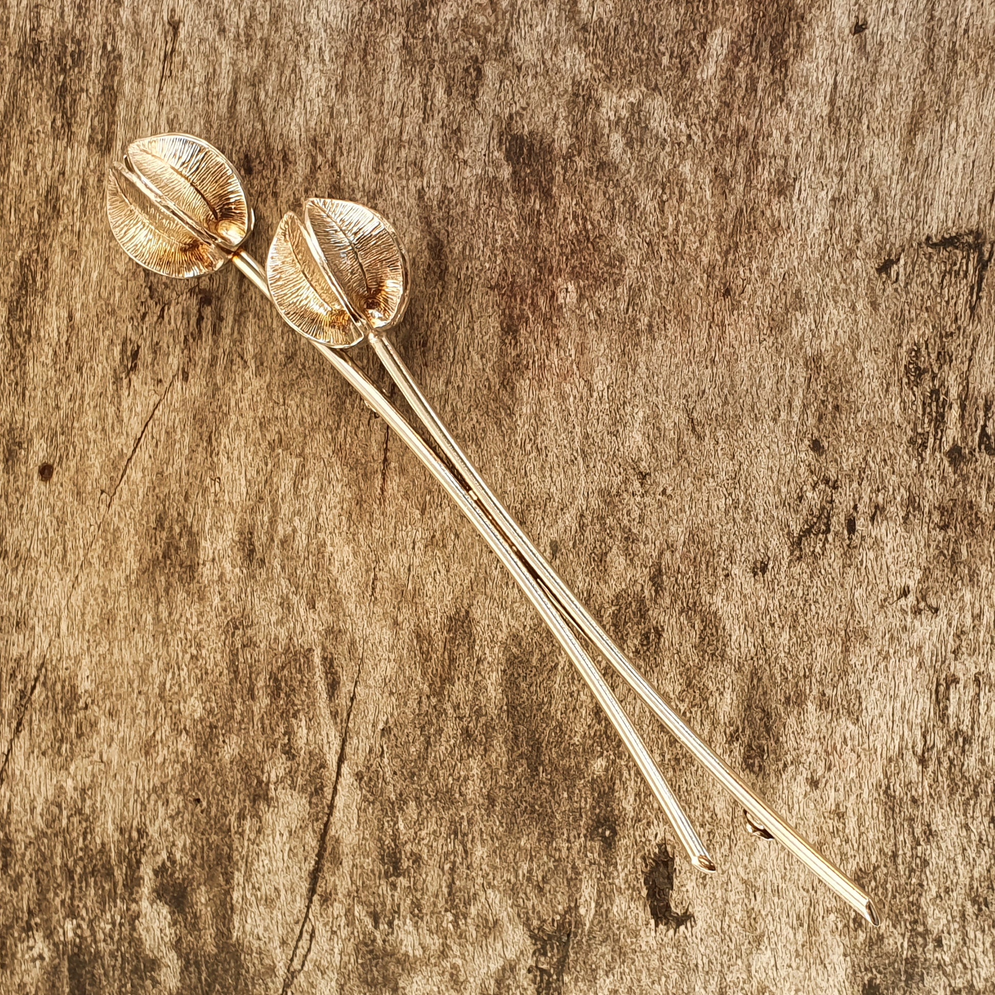 Two dried poppy seed pods on long stems.